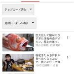 レス1番の画像サムネイル