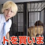 レス1番の画像サムネイル