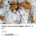 レス1番の画像サムネイル
