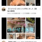 レス1番の画像サムネイル