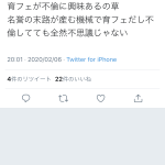 レス1番の画像サムネイル
