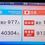 レス17番の画像サムネイル