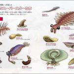 レス57番の画像サムネイル