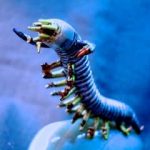 レス50番の画像サムネイル