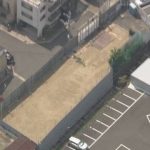 レス1番の画像サムネイル