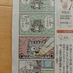 レス51番の画像サムネイル