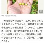 レス3番の画像サムネイル