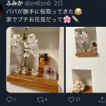 レス1番の画像サムネイル