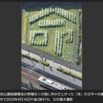 レス1番の画像サムネイル