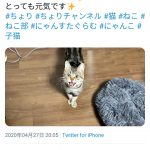 レス1番の画像サムネイル