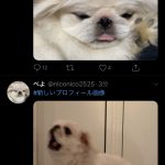 レス1番の画像サムネイル