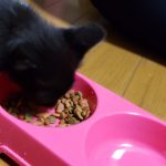 レス2番の画像サムネイル