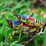 レス21番の画像サムネイル