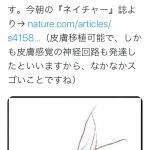 レス1番の画像サムネイル