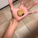 レス1番の画像サムネイル