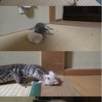 レス1番の画像サムネイル