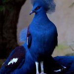 レス2番の画像サムネイル