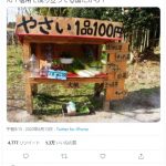 レス10番の画像サムネイル