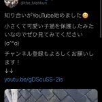 レス47番の画像サムネイル