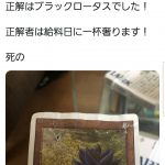 レス1番の画像サムネイル