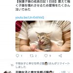 レス76番の画像サムネイル