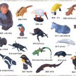 レス17番の画像サムネイル
