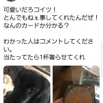 レス1番の画像サムネイル