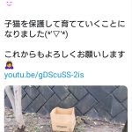 レス3番の画像サムネイル