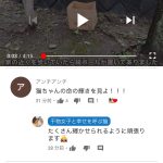 レス1番の画像サムネイル