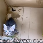 レス3番の画像サムネイル