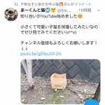 レス1番の画像サムネイル