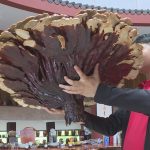 レス1番の画像サムネイル