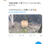レス1番の画像サムネイル