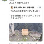 レス21番の画像サムネイル