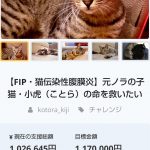 レス59番の画像サムネイル