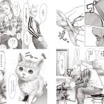 レス31番の画像サムネイル