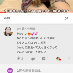 レス17番の画像サムネイル