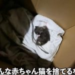 レス3番の画像サムネイル