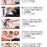 レス11番の画像サムネイル
