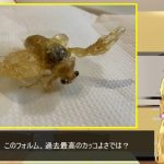 レス7番の画像サムネイル
