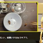 レス16番の画像サムネイル