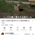 レス1番の画像サムネイル