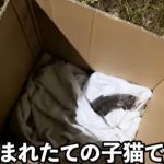 レス3番の画像サムネイル