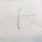 レス8番の画像サムネイル