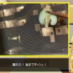 レス7番の画像サムネイル