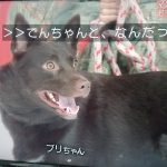 レス26番の画像サムネイル