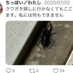 レス30番の画像サムネイル