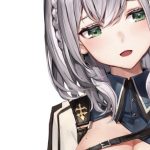 レス85番の画像サムネイル