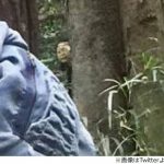 レス11番の画像サムネイル