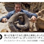 レス14番の画像サムネイル